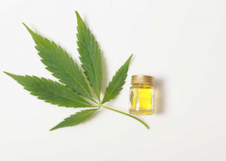 Illustration for article titled Various CBD oils Benefits of getting it